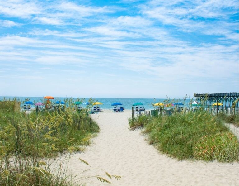 A Day in the Life: What It’s Really Like to Live in the Lowcountry