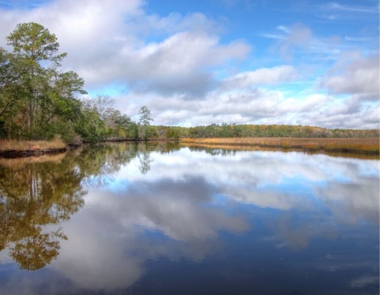 Mindfulness in Nature: Using Lowcountry Landscapes for Stress Relief and Mental Health