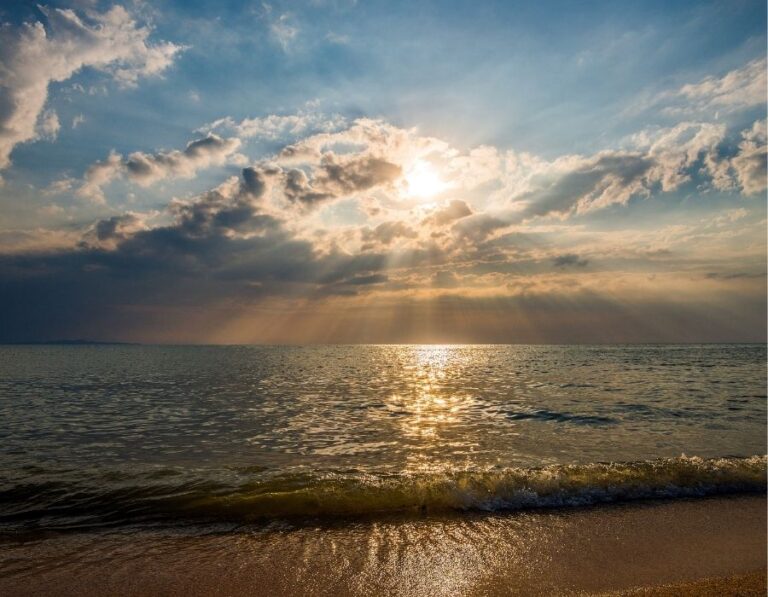 Beating the Heat: Healthy Habits for Thriving in Lowcountry Summers